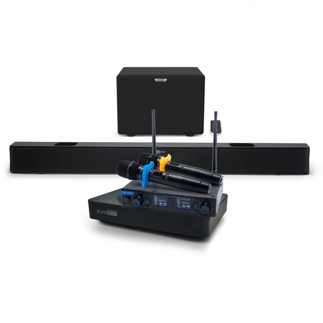 Hi-End караоке-система EVOBOX Premium + EvoSoundBar (саундбар с караоке) в Воронежской области