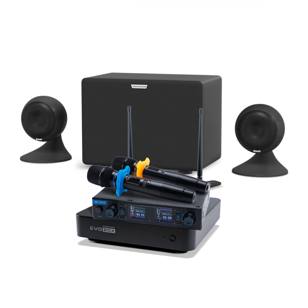 караоке-комплект EVOBOX + EvoSound Sphere 2.1 в Воронежской области