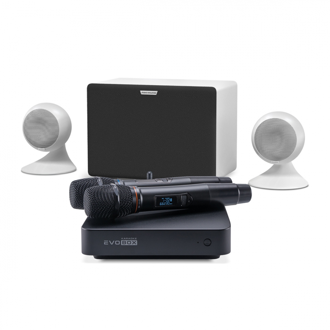 караоке-комплект EVOBOX Classic + EvoSound Sphere 2.1 в Воронежской области