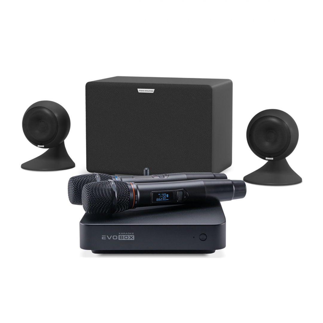караоке-комплект EVOBOX Plus + EvoSound Sphere 2.1 в Воронежской области