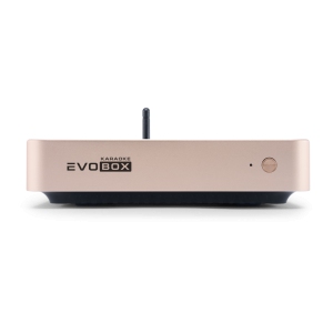 EVOBOX Classic караоке-система для дома в Воронежской области