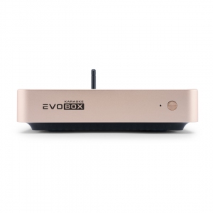 EVOBOX Plus караоке-система для дома в Воронежской области