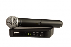 SHURE BLX24E/PG58 M17 вокальная радиосистема в Воронежской области
